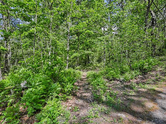 4th image of 2A & 2B Camp Road