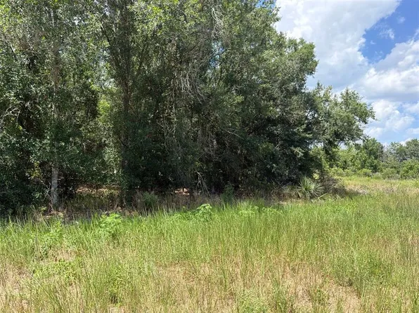16171 NW 254TH STREET, OKEECHOBEE, FL 34972