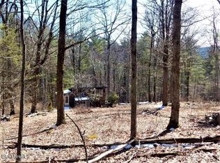 529 Hayes Hill Rd, Southfield, MA 01259