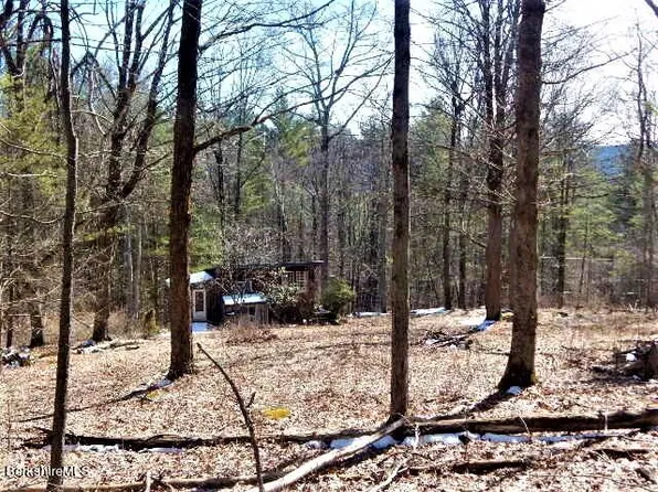 529 Hayes Hill Rd, Southfield, MA 01259