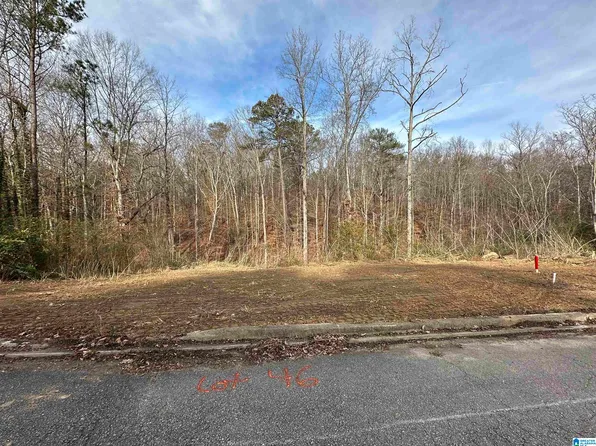 5096 Janet Ln Lot 46, Irondale, AL 35210