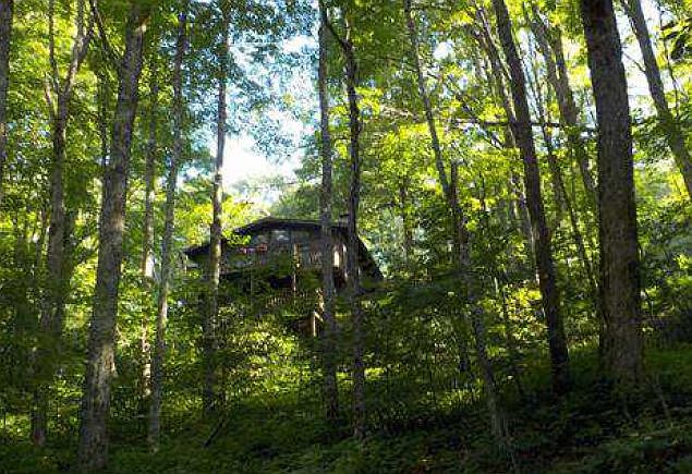 2nd image of 241 Timber Ridge Rd