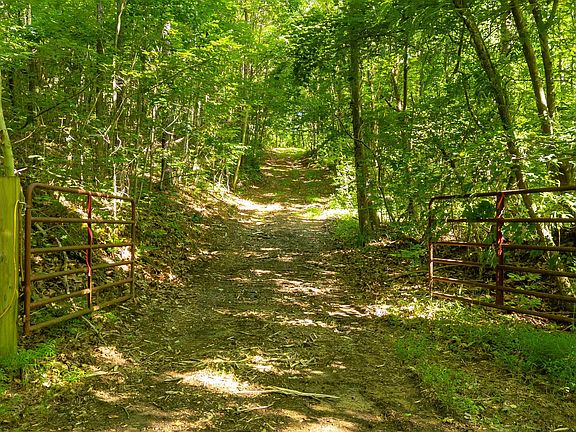 3rd image of 0 N Off Hwy #411