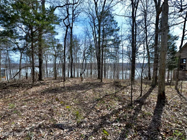 3 Cedar Point Rd, Bee Spring, KY 42207