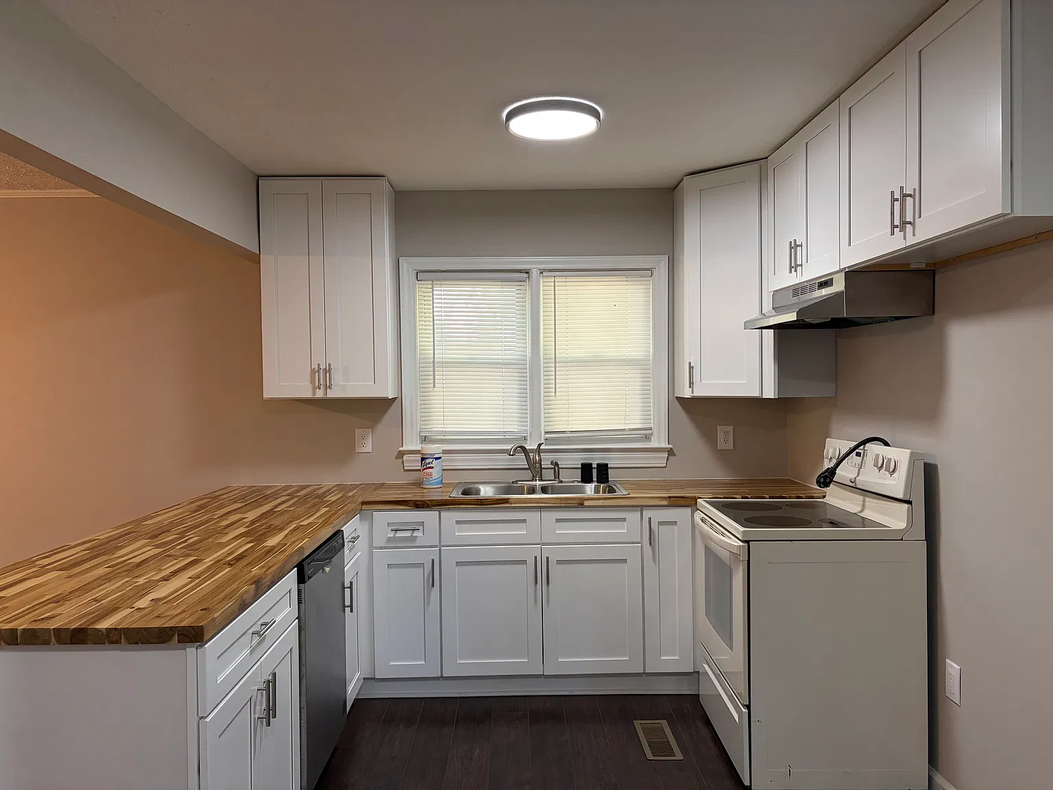 3 bed, 1000 sqft, $1,250 — Photo 4