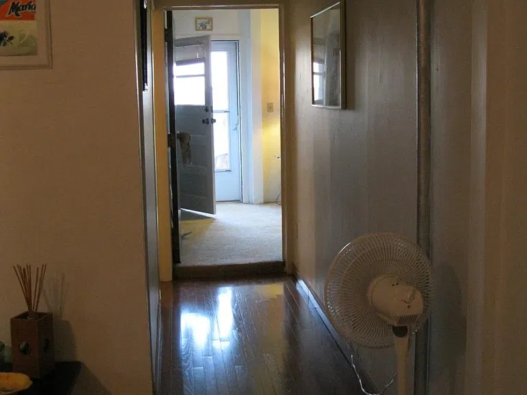 hallway. Hallway closet just added (missing in this photo)