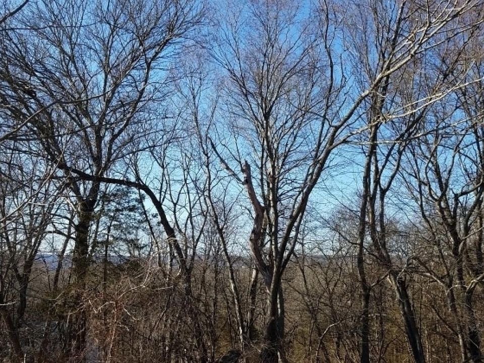 1st image of 37 River View Dr