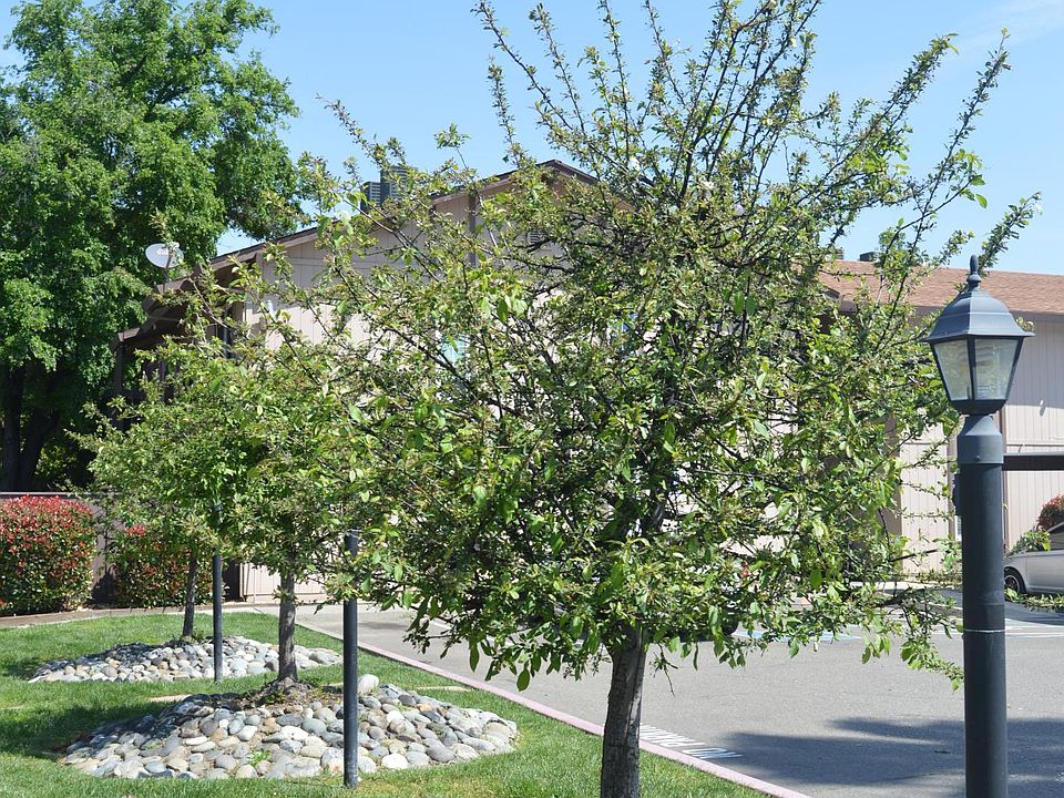 2nd image of 8601 Fair Oaks Blvd APT 4