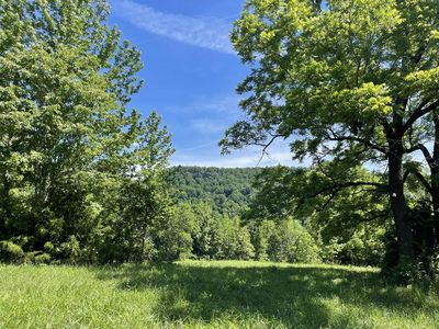 TRACT 6 Terrapin Rd, Harrison, AR, 72601