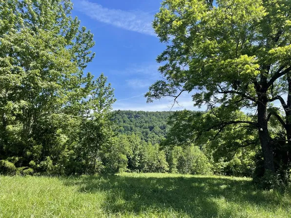 TRACT 6 Terrapin Rd, Harrison, AR 72601