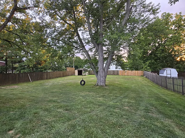 backyard with shed
