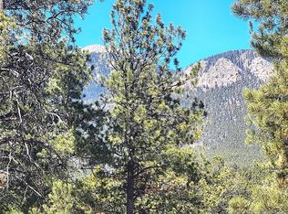 116 Neal Street, Bailey, CO 80421