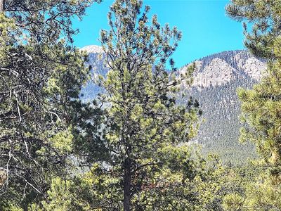 116 Neal Street, Bailey, CO, 80421