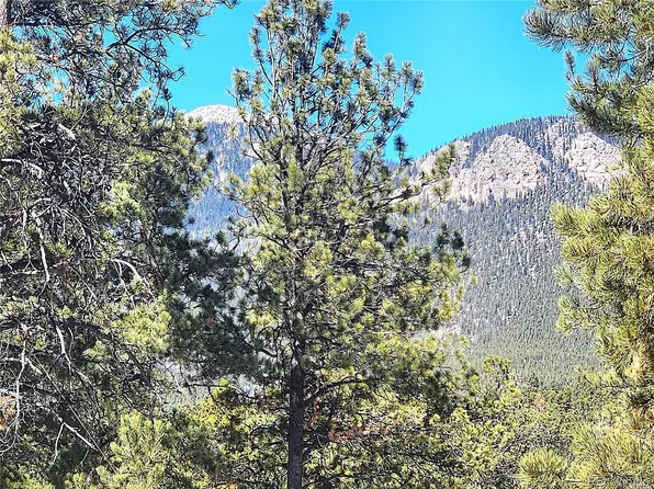 116 Neal Street, Bailey, CO 80421