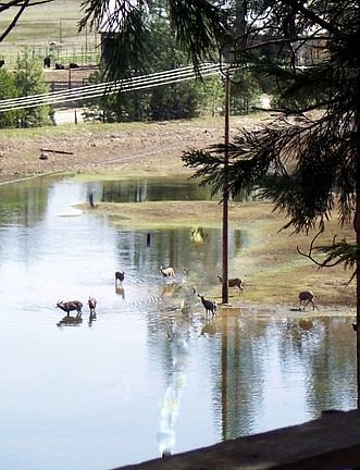 4th image of 800 Pondside Dr