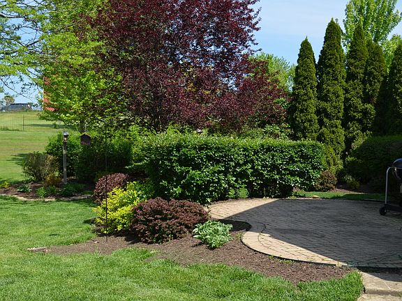 4th image of 865 Deer Path Dr