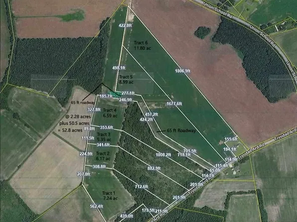 Trinidad Ard Rd #4, Coward, SC 29530