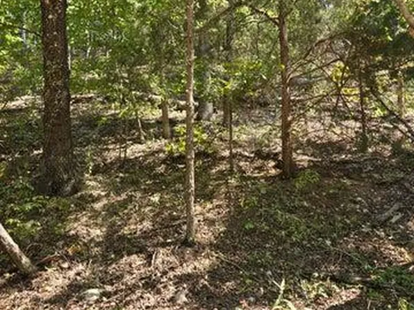 0 County Road 421, Birch Tree, MO 65438