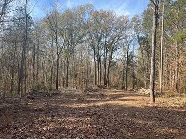 21 Bayview Dr, Bumpus Mills, TN 37028