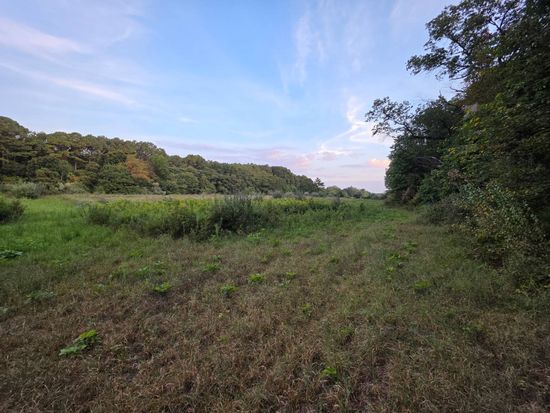 0 County Road 1020 N, Fairfield, IL 62837