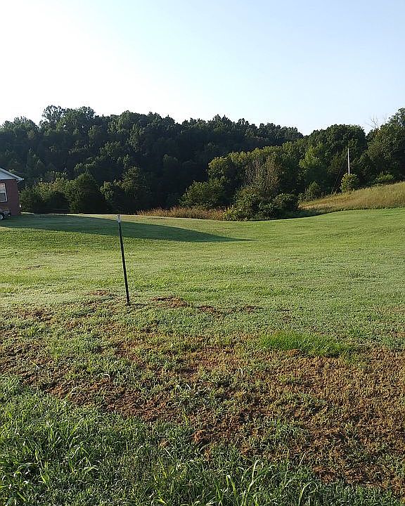 2nd image of Bonita Dr #31