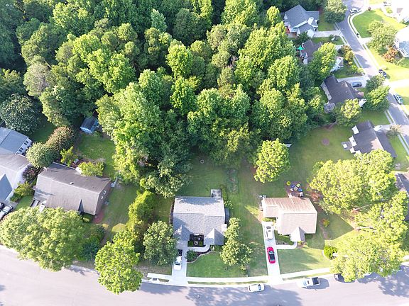 Ariel View 