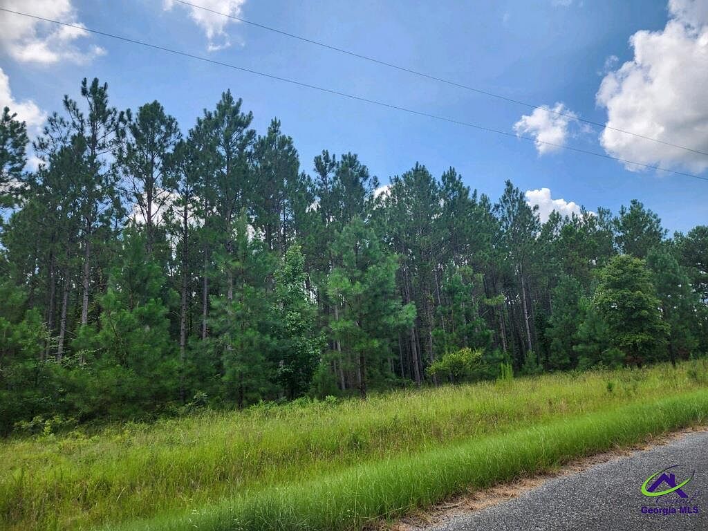 2088 Scotland Rd, Dublin, GA 31021 MLS 234460 Zillow