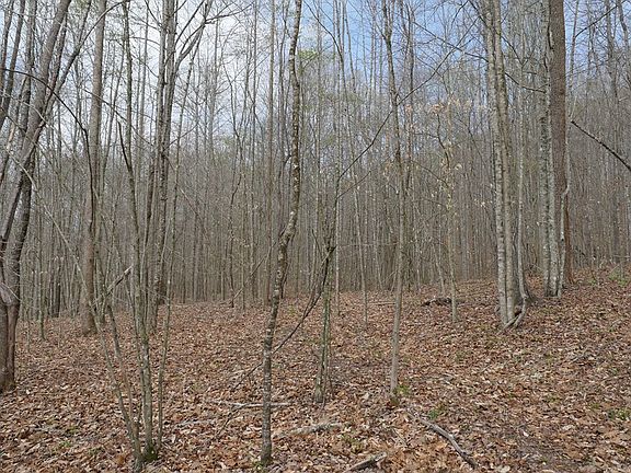 3rd image of Valley Spring Rd