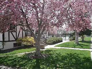 Oneal Cir — Photo 40