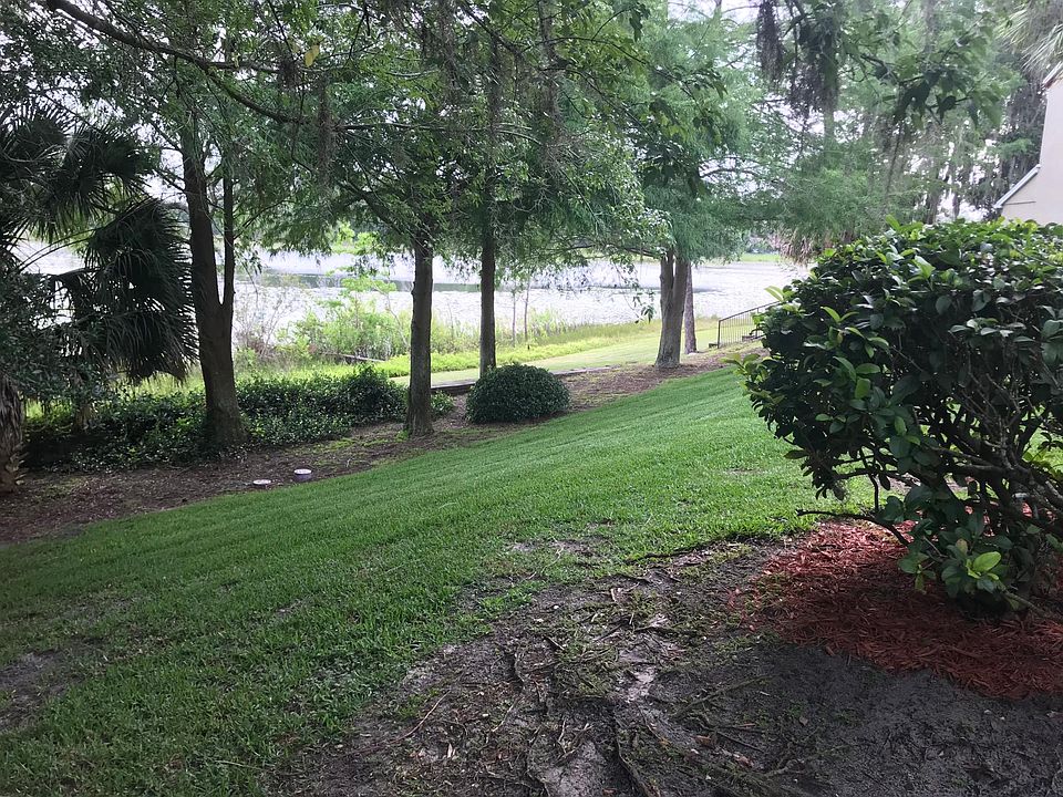 View from patio