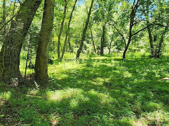 5th image of 171 Bambi Lane Ml