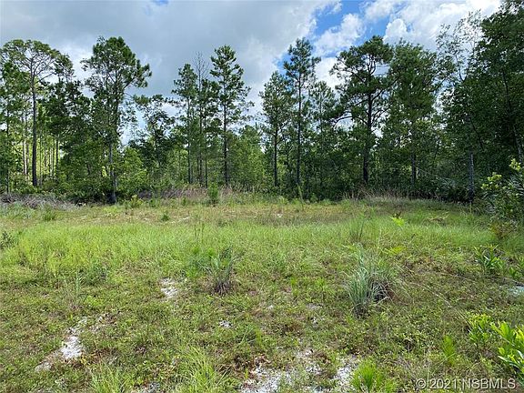 2nd image of 4007 Swamp Deer Rd