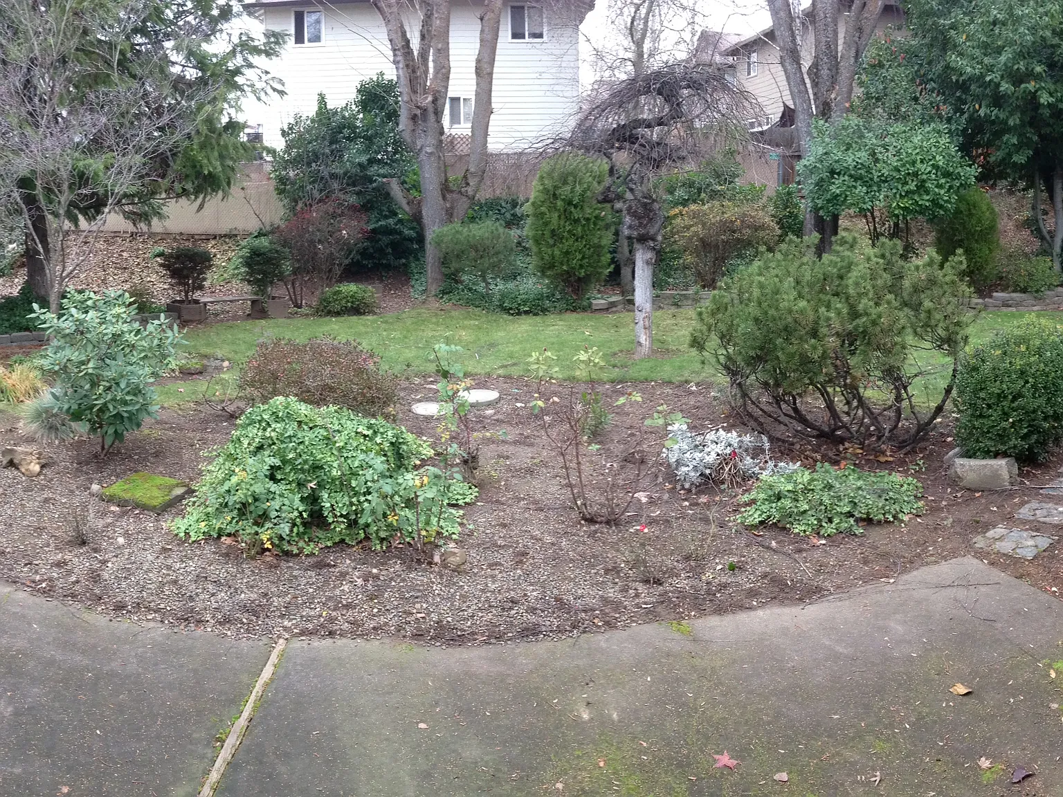 3 bed, 1614 sqft, $2,450 — Photo 3