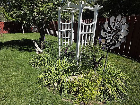 Front yard