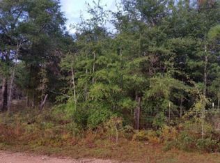 Drew Hall Ave, Altha, FL 32421