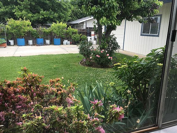 backyard view from inside