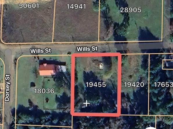 1107 Wills St, Linden, TX 75563