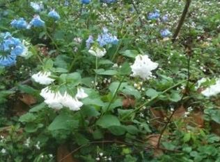 947 S Rolfe St, Arlington, VA 22204