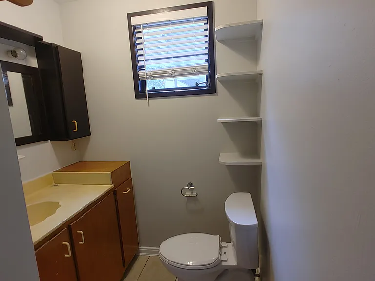 Bathroom with varnished wood