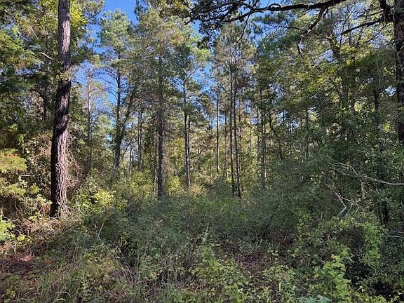 3rd image of 0 An County Rd #1232