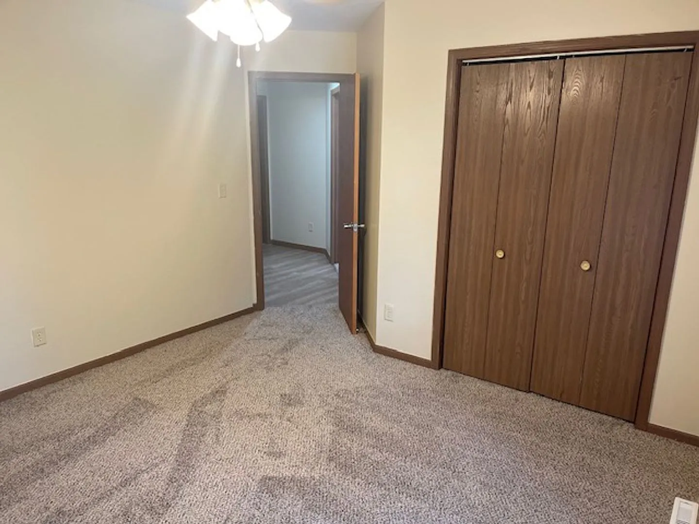108 Olive — Photo 2