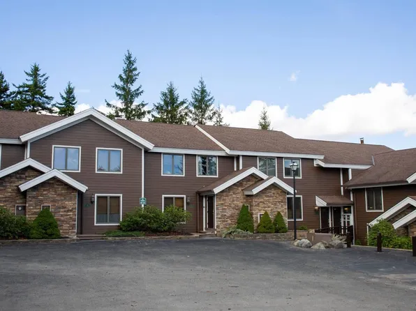14 Stemwinder, Snowshoe, WV 26209