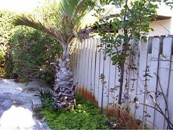 2nd image of 18550 NE 20th Ct