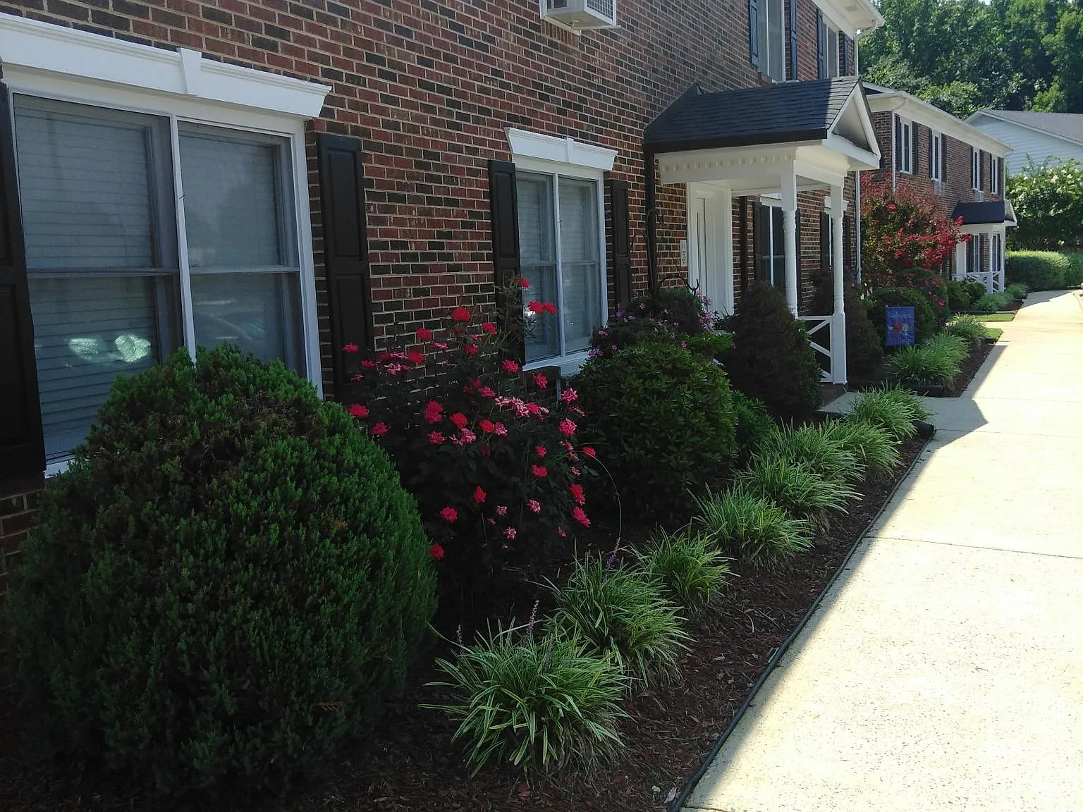 1 bed, 700 sqft, $995 — Photo 1