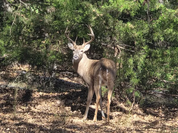 1159 Mikus Rd, Weatherford, TX 76087