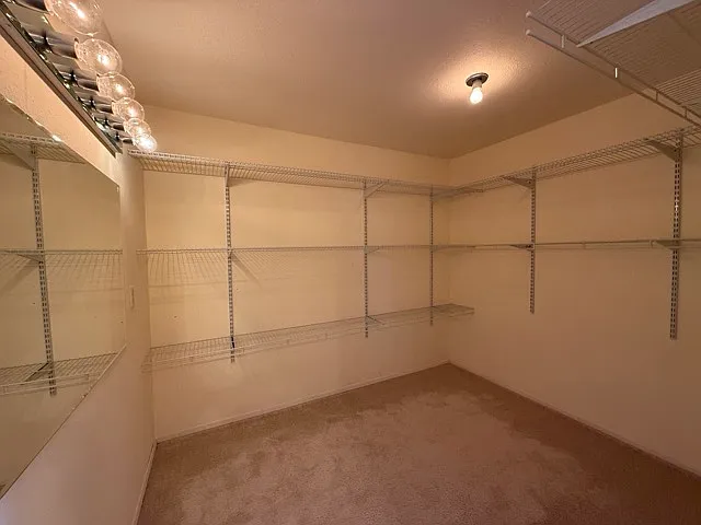 Primary closet