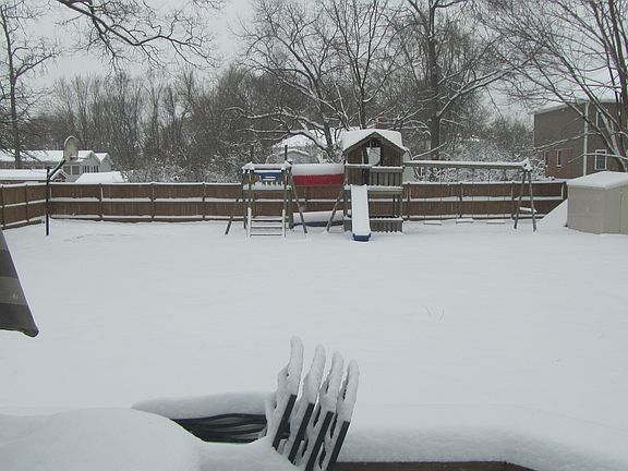 Snowy Backyard