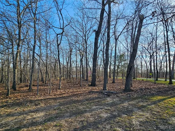 273 Grand Point Blvd, Sunrise Beach, MO 65079