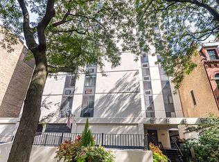 1339 N Dearborn St APT 2B, Chicago, IL 60610