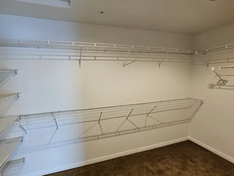 Master walk in closet